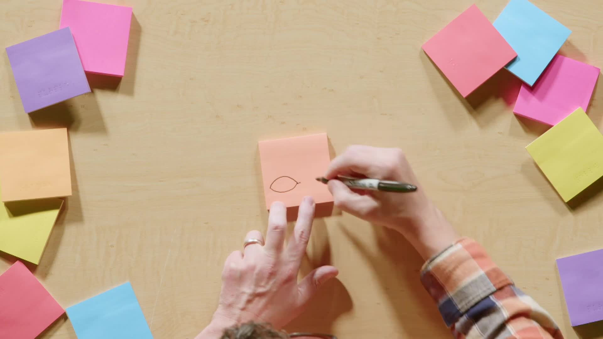 Drawing With Mr. J: Falling Leaves